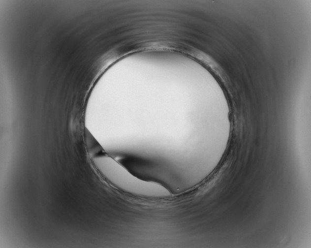 X0000084041097200703092026