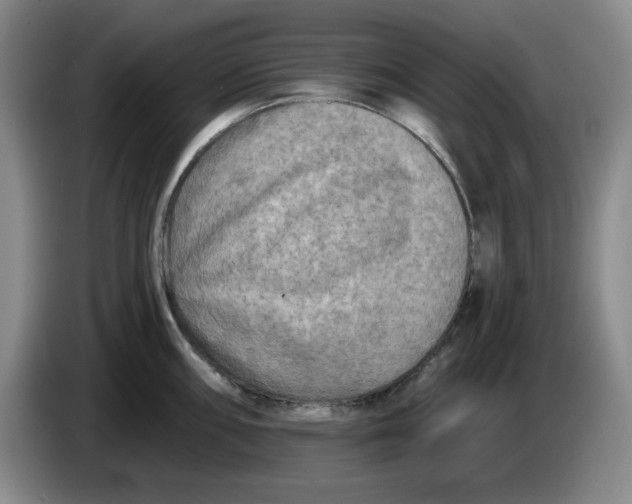 X0000084041098200703092026