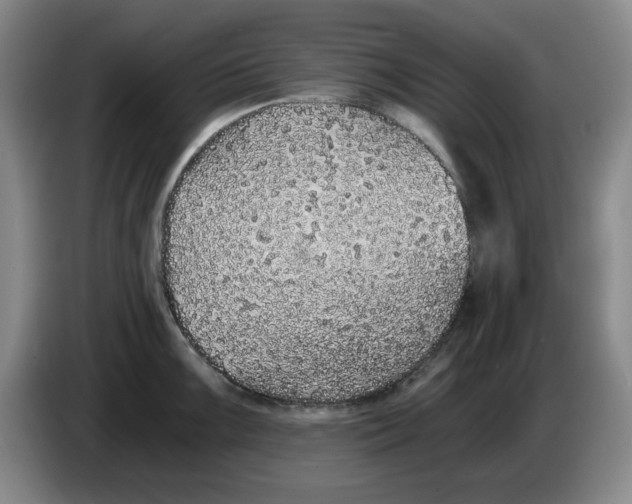 X0000084041099200703092026