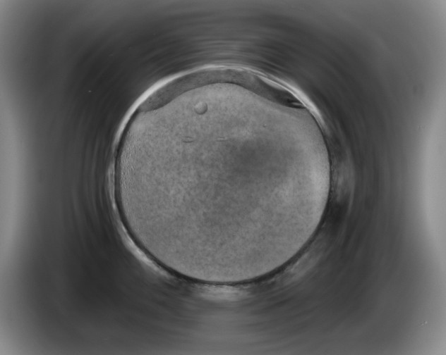 X0000084041100200703092026