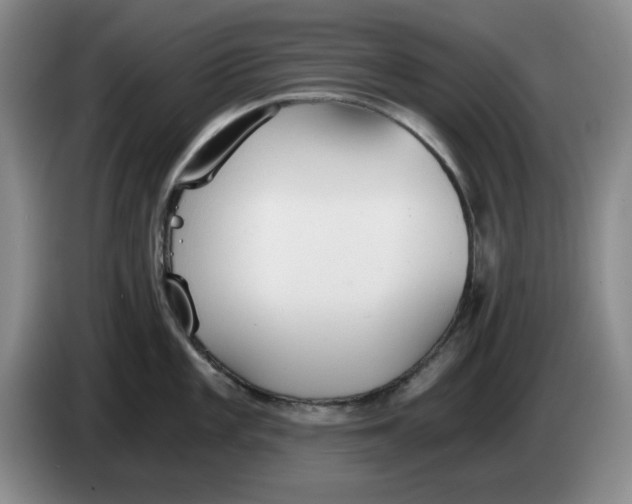 X0000084041101200703092026