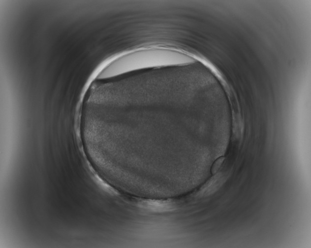 X0000084041102200703092026