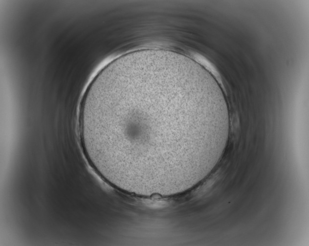 X0000084041103200703092026