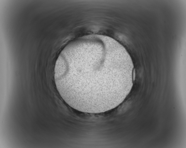 X0000084041105200703092025