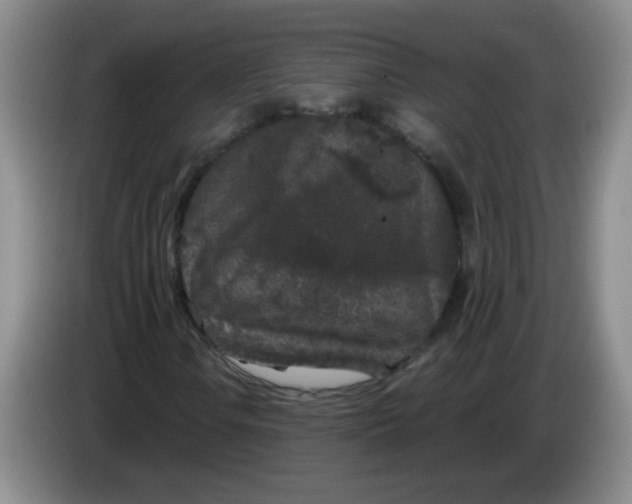 X0000084041106200703092025