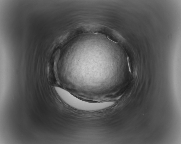 X0000084041108200703092025