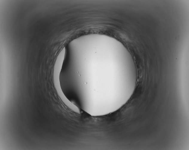 X0000084041109200703092025