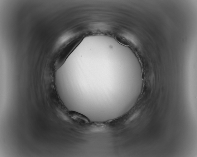 X0000084041112200703092025