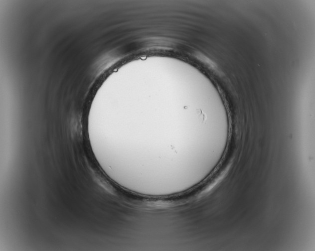 X0000084041113200703092025