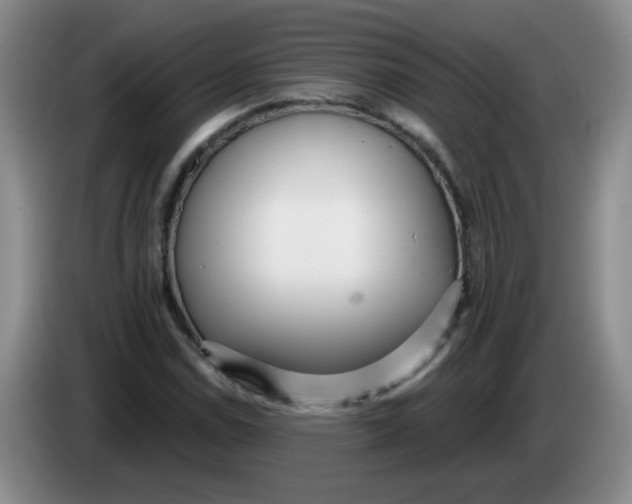 X0000084041114200703092025