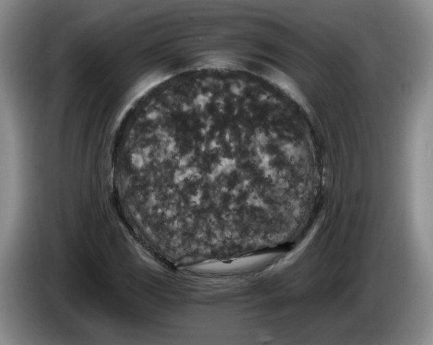 X0000084041117200703092025