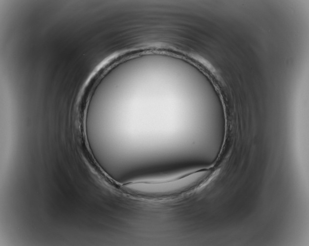 X0000084041118200703092025