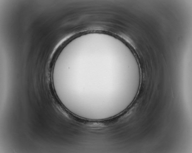 X0000084041119200703092026