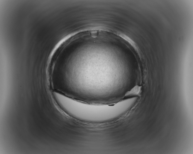 X0000084041120200703092026