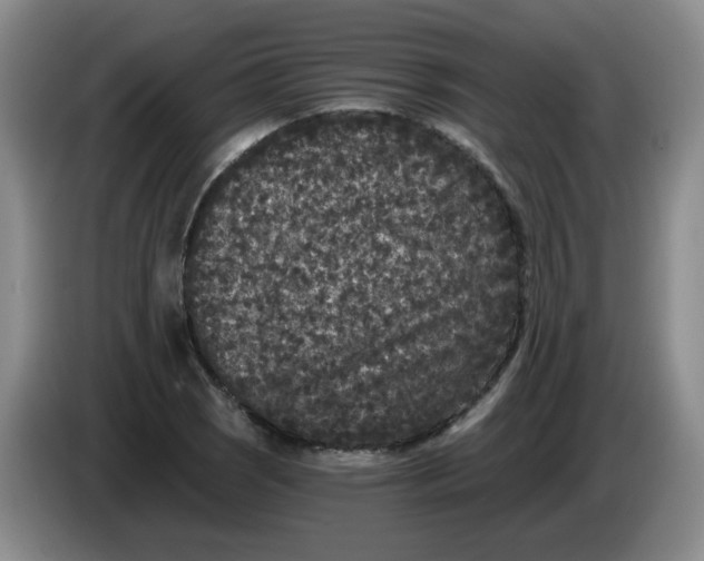 X0000084041121200703092026