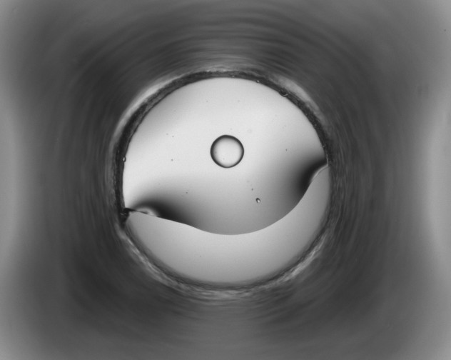 X0000084041122200703092026