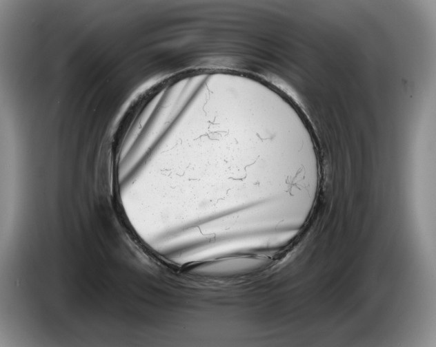 X0000084041123200703092026