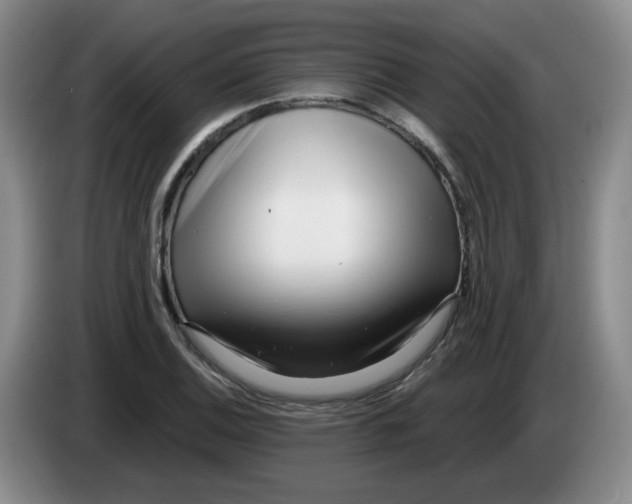 X0000084041124200703092026