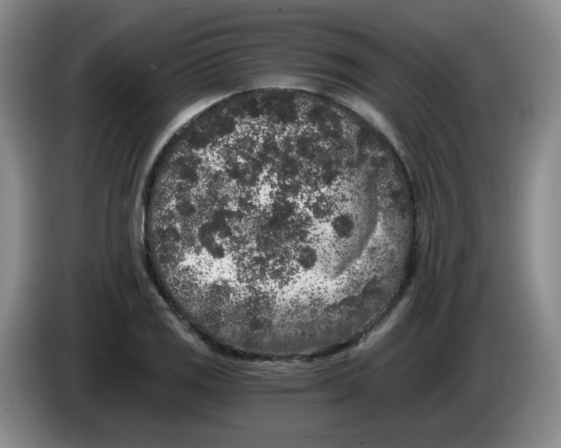 X0000084041125200703092026