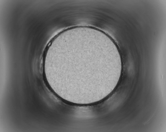 X0000084041126200703092026