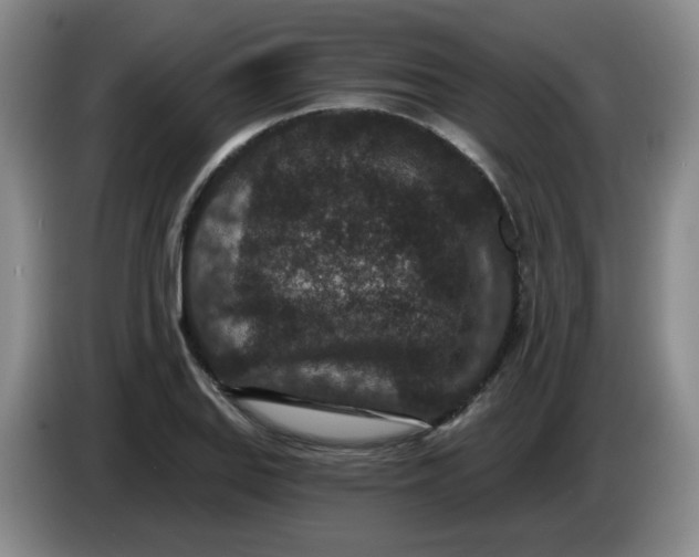 X0000084041127200703092026