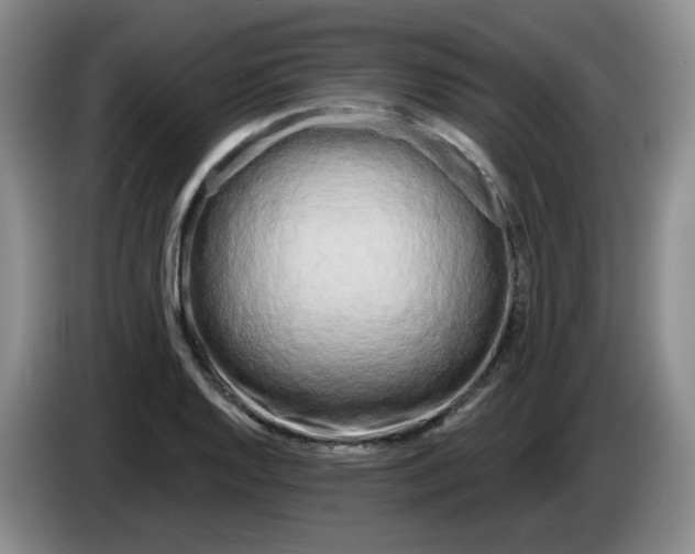 X0000084041128200703092026