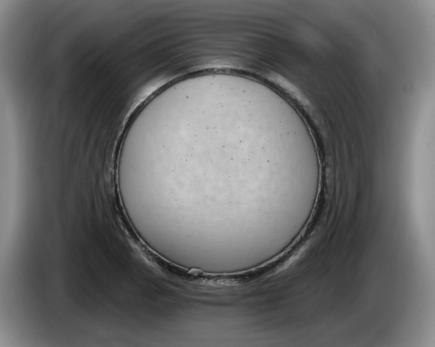 X0000084041129200703092026