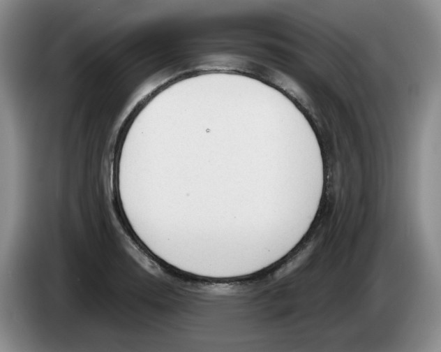 X0000084041130200703092026