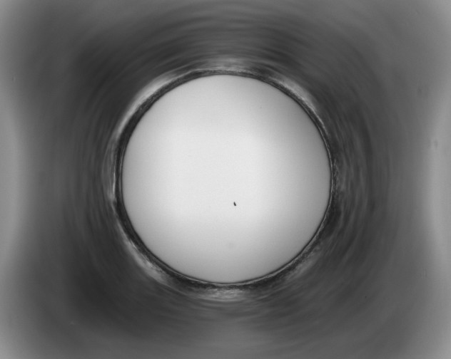 X0000084041131200703092026