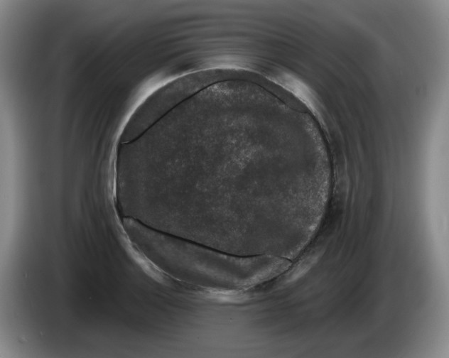 X0000084041132200703092026