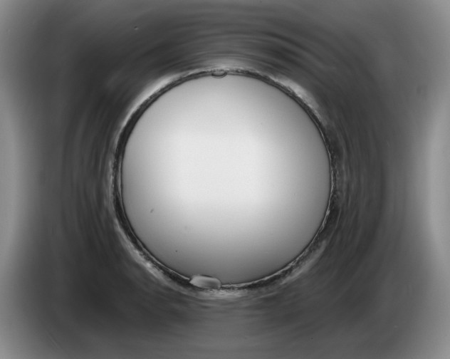 X0000084041134200703092026