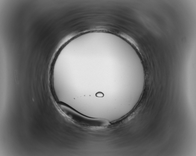 X0000084041135200703092026