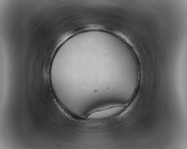 X0000084041137200703092026