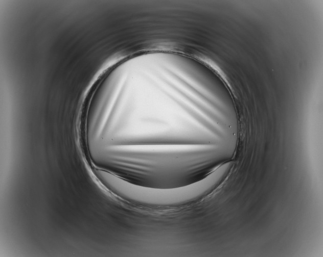 X0000084041139200703092026