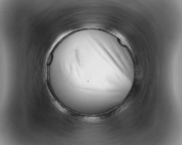 X0000084041140200703092026