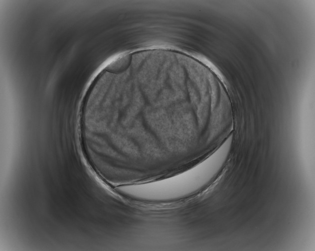 X0000084041142200703092026