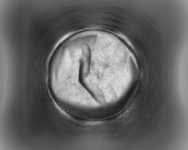 X0000084041143200703092026