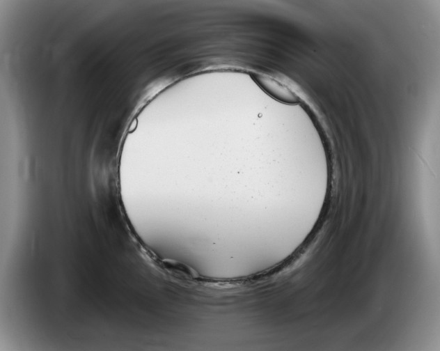 X0000084041145200703092026