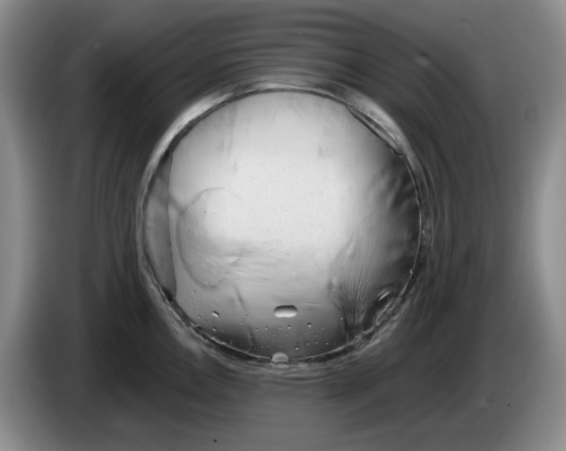 X0000084041146200703092026