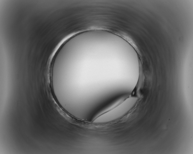 X0000084041148200703092026