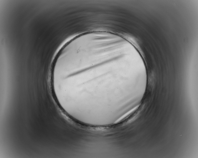 X0000084041149200703092026