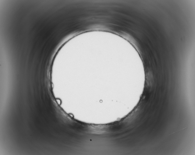 X0000084041150200703092026