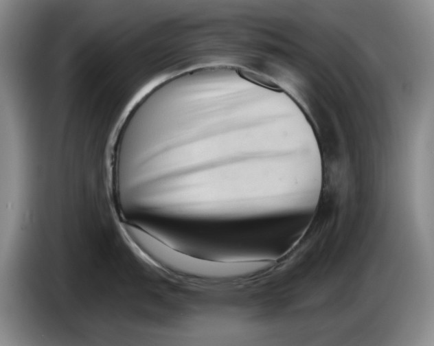 X0000084041151200703092026