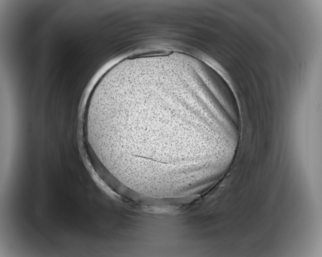 X0000084041152200703092026