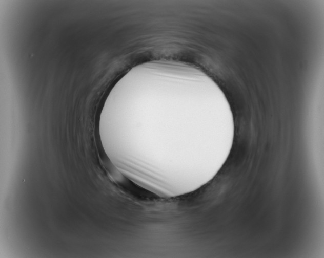 X0000084041153200703092025