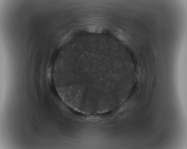 X0000084041154200703092025