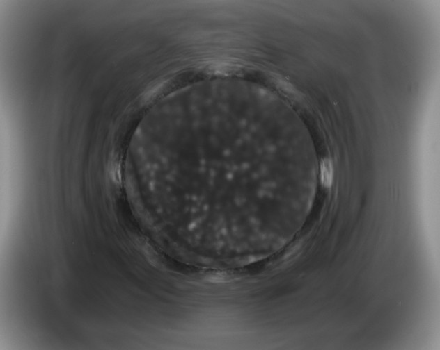 X0000084041155200703092025