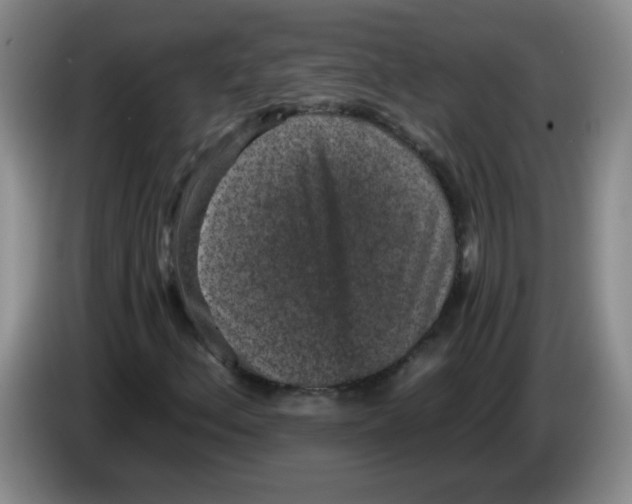 X0000084041156200703092025