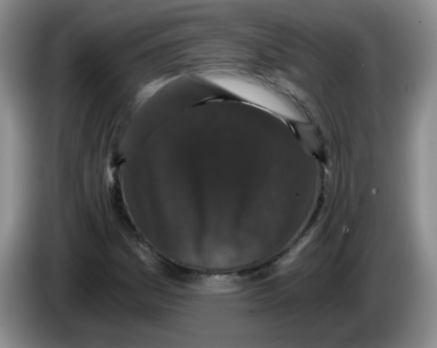 X0000084041161200703092025