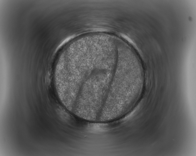 X0000084041163200703092025